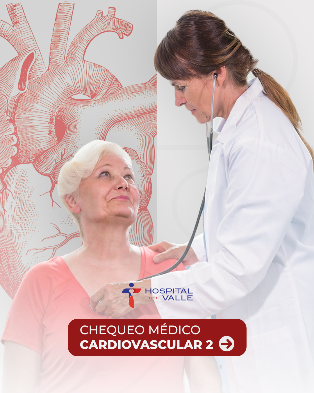 CHEQUEO CARDIOVASCULAR 2